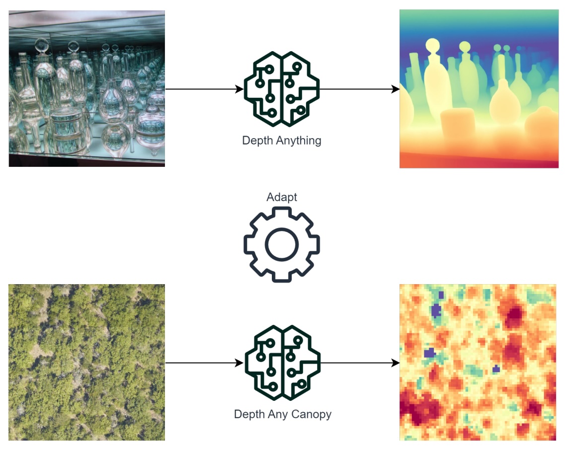 Depth Any Canopy: Leveraging Depth Foundation Models for Canopy Height Estimation