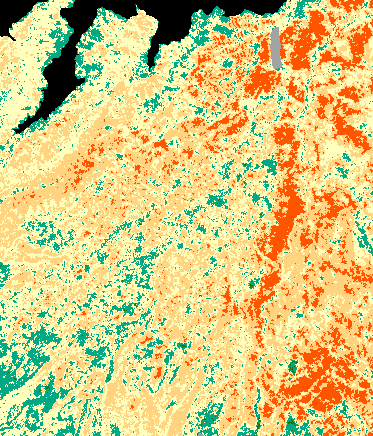 MTBS Fire sample scene
